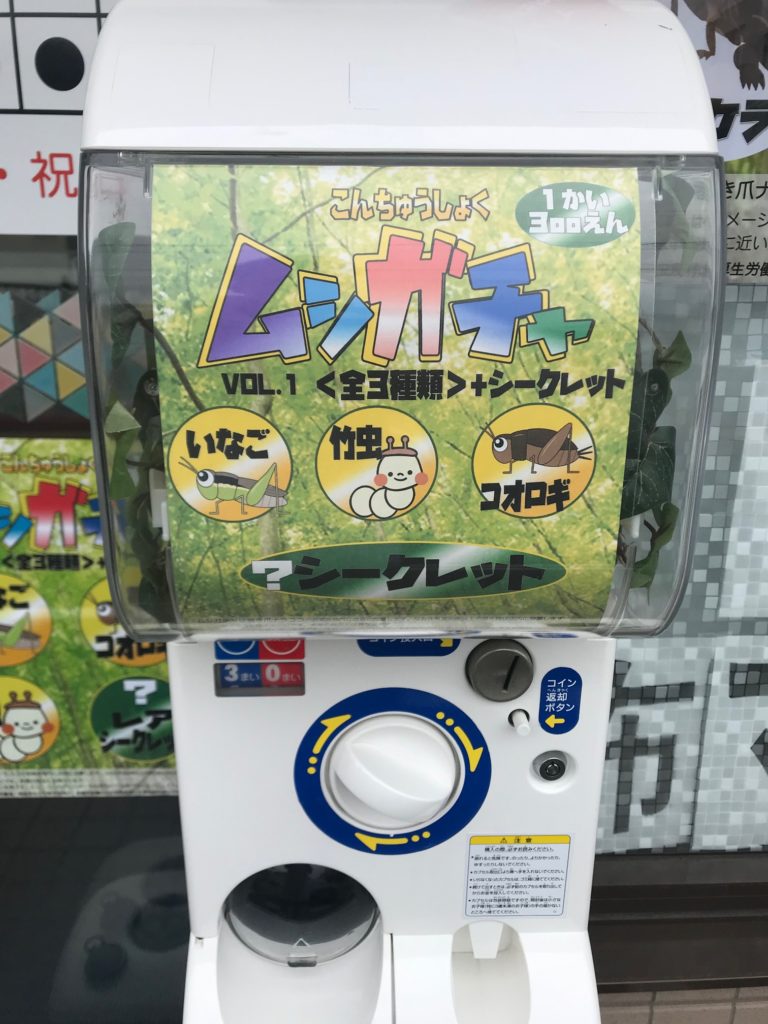 昆虫食 ムシガチャ 登場 熊本市の巻き爪治療ナラココ 昆虫食 ムシガチャ 登場 熊本市の巻き爪治療ナラココ